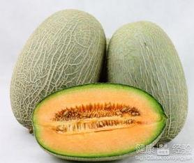 吃哈密瓜可以吃粽子吗,夏季美食新搭配