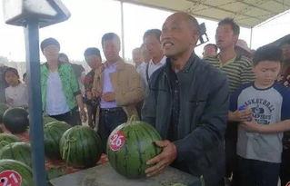 吃瓜群众 岱春华,揭秘娱乐圈背后的故事