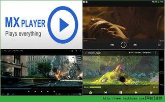 成人www视频,探索成人www视频背后的故事与启示