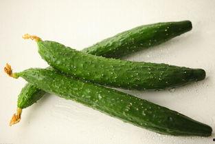 梦见吃瓜还,揭秘吃瓜背后的神秘寓意